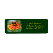 Dreamweaver Zinnia Flower Address Label (Voorkant)