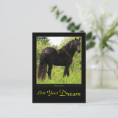 Dreamweaver'Friesian Briefkaart (Staand voorkant)