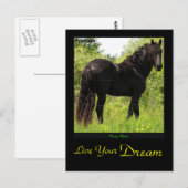 Dreamweaver'Friesian Briefkaart (Voorkant / Achterkant)