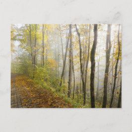 Dreamy autumn park briefkaart