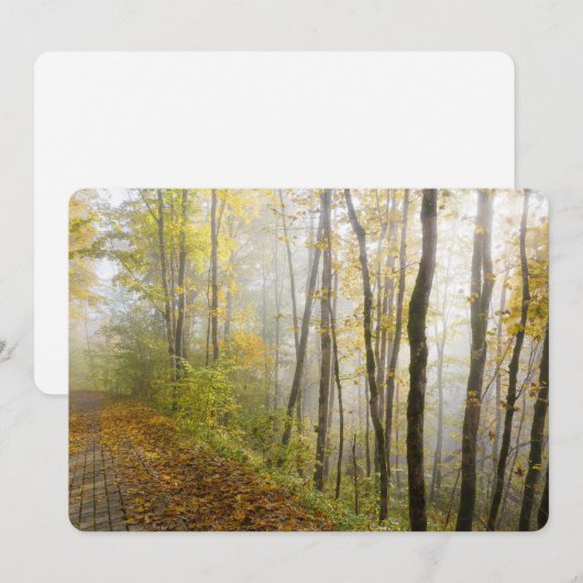 Dreamy autumn park feestdagenkaart (Voorkant / Achterkant)