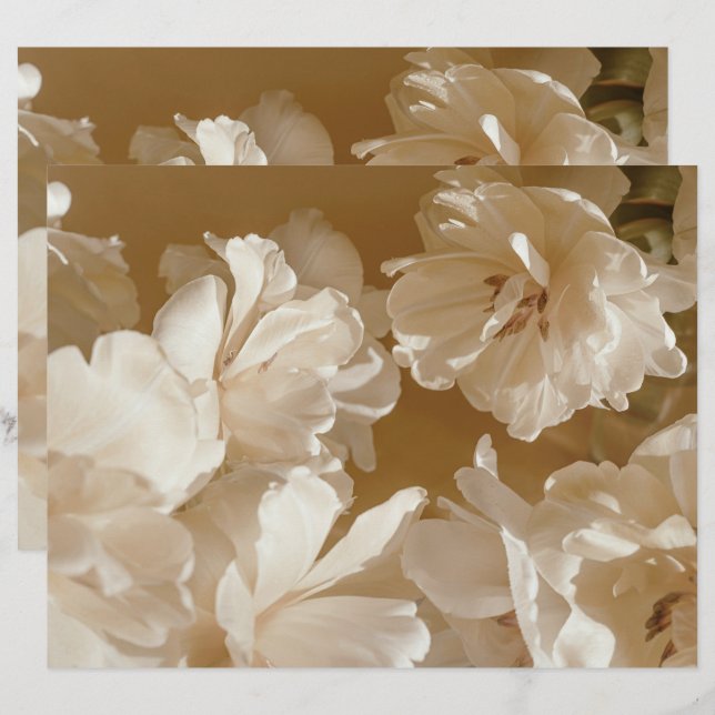 Dreamy beige floral Elegant Scrapbook Paper (Voorkant / Achterkant)