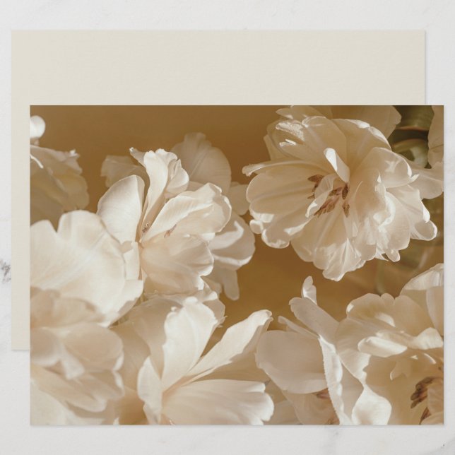 Dreamy beige floral Elegant Scrapbook Paper (Voorkant / Achterkant)