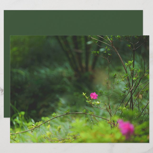 Dreamy forest flower Scrapbook Paper (Voorkant / Achterkant)