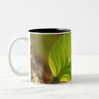 Dreamy Leaf Mok