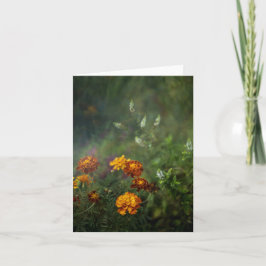 Dreamy marigold fine art photo kaart