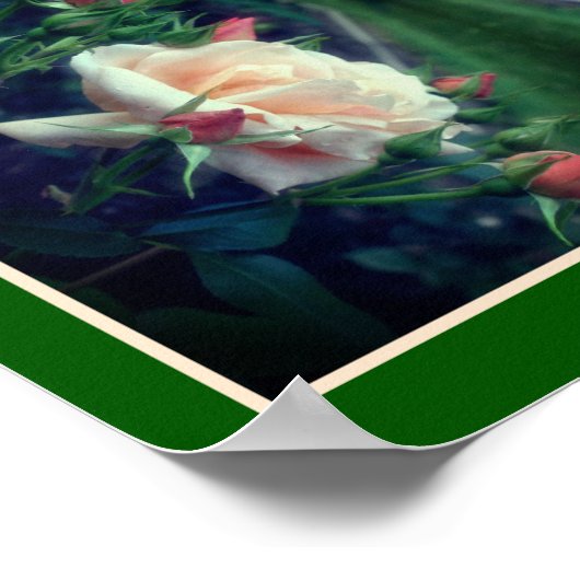 Dreamy perzik Roos en knoppen Abstract Poster (Hoek)