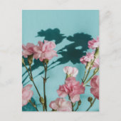 Dreamy pink carnation flowers on blue background briefkaart (Voorkant)