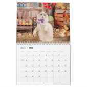 Dreamy Ragdoll Cats and Kittens Calendar Kalender (Mar 2026)