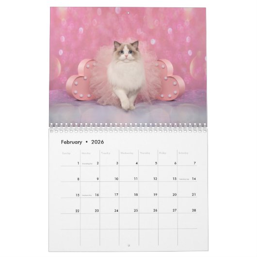 Dreamy Ragdoll Cats and Kittens Calendar Kalender (Feb 2026)