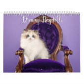 Dreamy Ragdoll Cats and Kittens Calendar Kalender (Hoes)