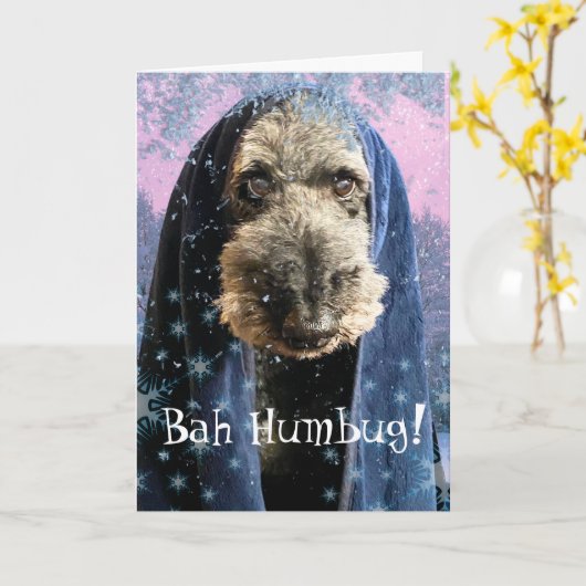 Dreary Christmas Bah Humbug Schnauzer Kaart (Gele Bloem)