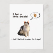 Dredel Cat Briefkaart (Voorkant)