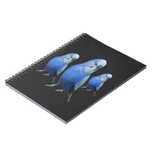 drei blaue Wellensittiche Notitieboek (Linkerzijde)
