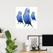 drei blaue Wellensittiche Poster (Thuiskantoor)