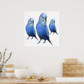 drei blaue Wellensittiche Poster (Keuken)