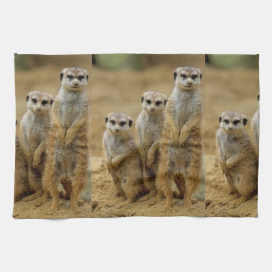 drei Erdmaennchen (Suricata suricatta) Theedoek (Horizontaal)