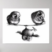 Drei Eulen Freiheit und Spass Poster (Voorkant)