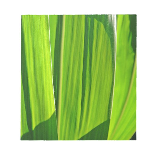 Drei grüne Maisblätter Notitieblok (Voorkant)