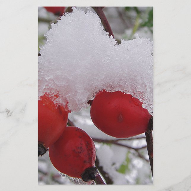 Drei Hagebutten mit Schnee (Voorkant)