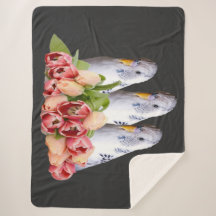 drei niedliche weisse Wellensittiche