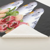 drei niedliche weisse Wellensittiche Sherpa Deken (3/4)