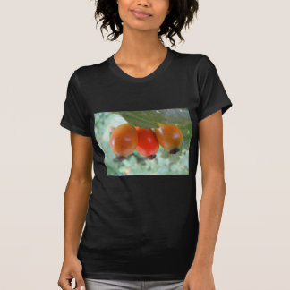 Drei oranje Hagebutten T-shirt