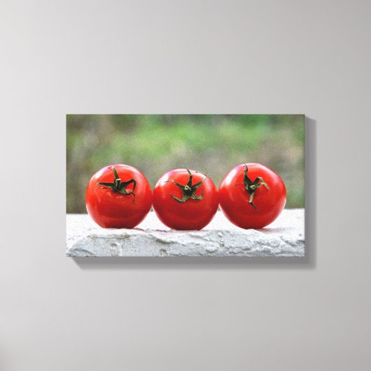 Drei Tomaten auf der Mauer Canvas Afdruk (Voorkant)
