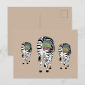 Drei Zebras  Briefkaart (Voorkant / Achterkant)