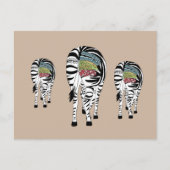 Drei Zebras  Briefkaart (Voorkant)
