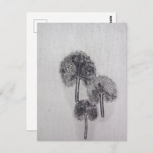 Dreiblatt Briefkaart (Voorkant / Achterkant)