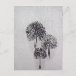 Dreiblatt Briefkaart