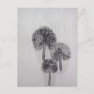 Dreiblatt Briefkaart