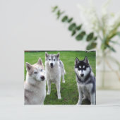 dreierlei briefkaart (Staand voorkant)