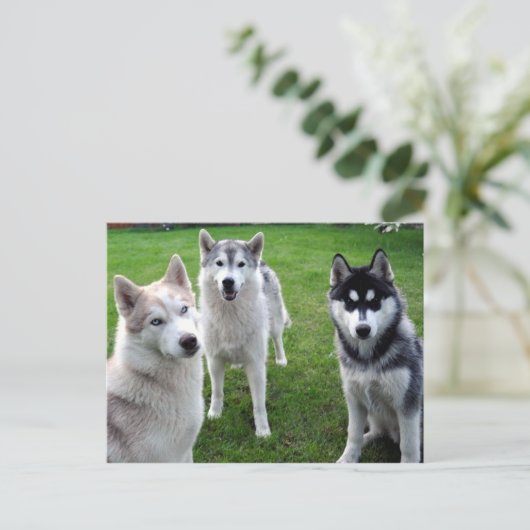 dreierlei briefkaart (Staand voorkant)