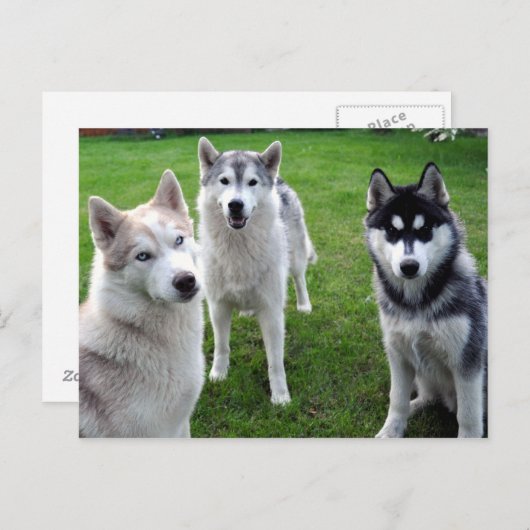 dreierlei briefkaart (Voorkant / Achterkant)