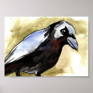 dreigende kraai poster