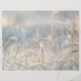 Dremy Winter Natuur Scrapbook papier