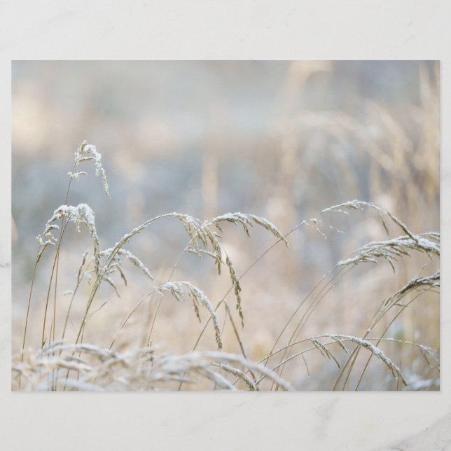 Dremy Winter Natuur Scrapbook papier (Voorkant)