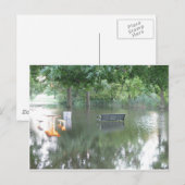 Drenched Bench-foto Briefkaart (Voorkant / Achterkant)