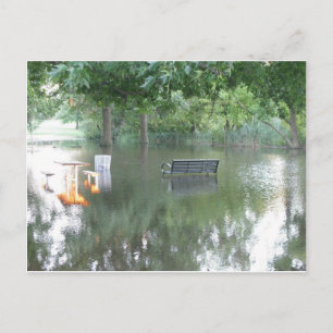 Drenched Bench-foto Briefkaart