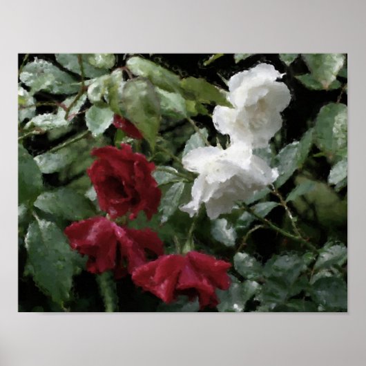 Drenched Rozen Flower Waterverf Photo Painting Poster (Voorkant)
