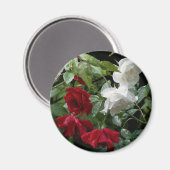 Drenking van Rozen Magneet (Voorkant / Achterkant)