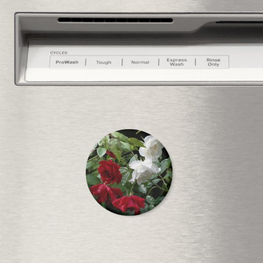 Drenking van Rozen Magneet (Insitu (Vaatwasser))