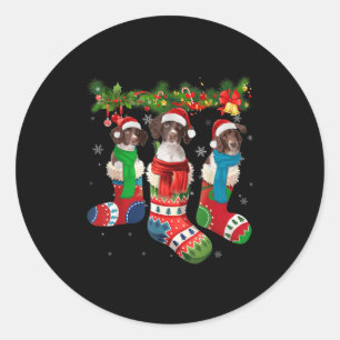 Drentse Patrijshond in Sokken Ronde Sticker