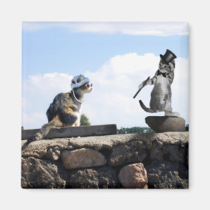 Dress to Impress en doe ook een beetje Dans! Magneet