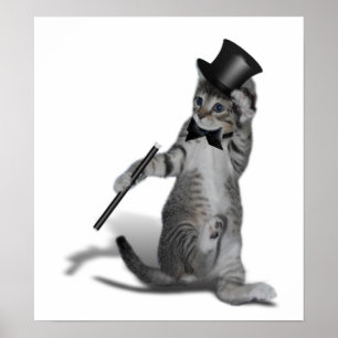 Dress to Impress en doe ook een beetje Dans! Poster