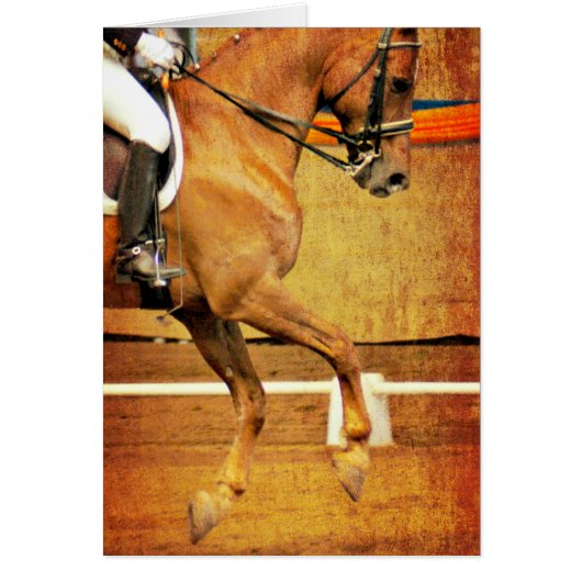 Dressage (Voorkant)