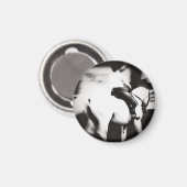 Dressage Abstract Magneet (Voorkant / Achterkant)