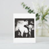 Dressage Briefkaart (Staand voorkant)